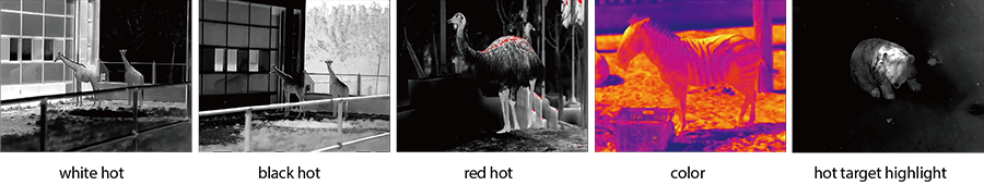 kamera termowizyjna do polowań